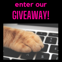 giveaway click here newer